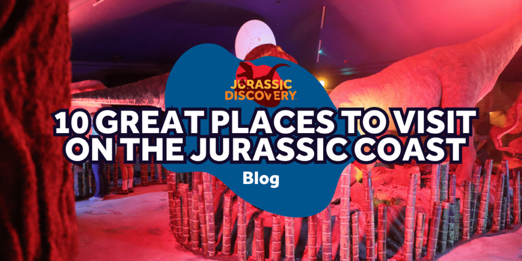 Blog image jd