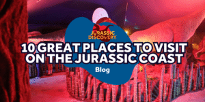 Blog image jd