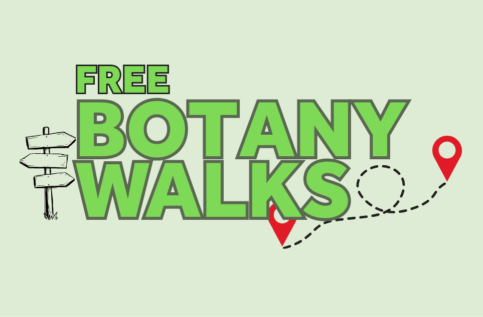 Botany walks