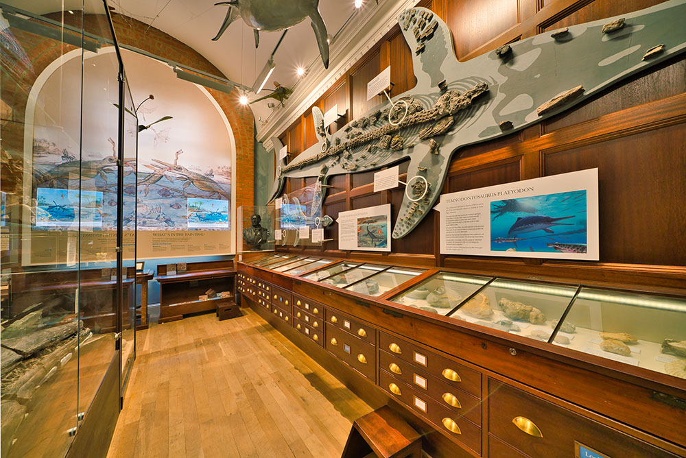 Lyme regis museum