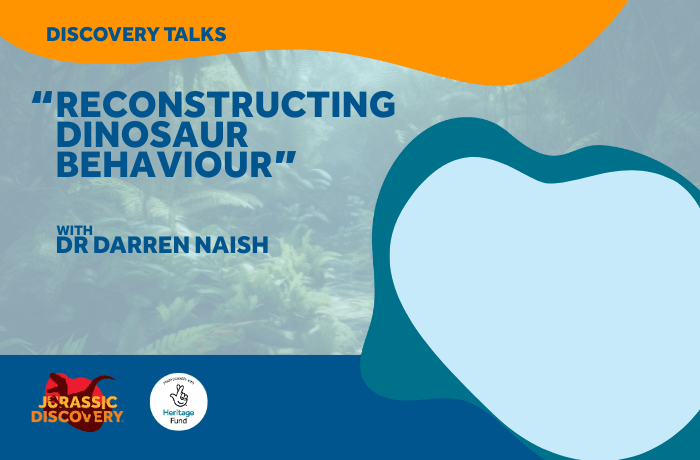 Darren Naish, Discovery