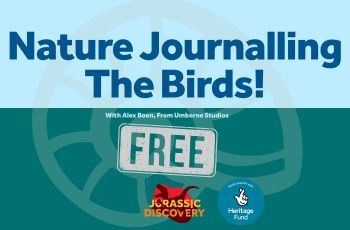 Nature journaling thumbnail