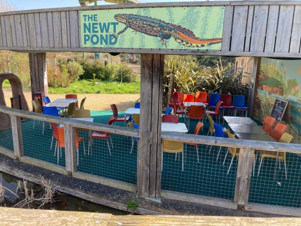 Newt Pond in Jurassic Garden