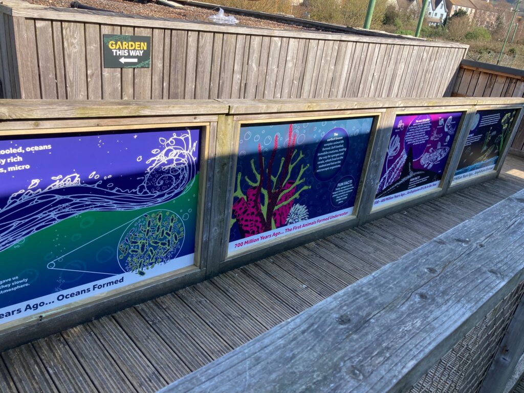 Signs showing the history of the universe